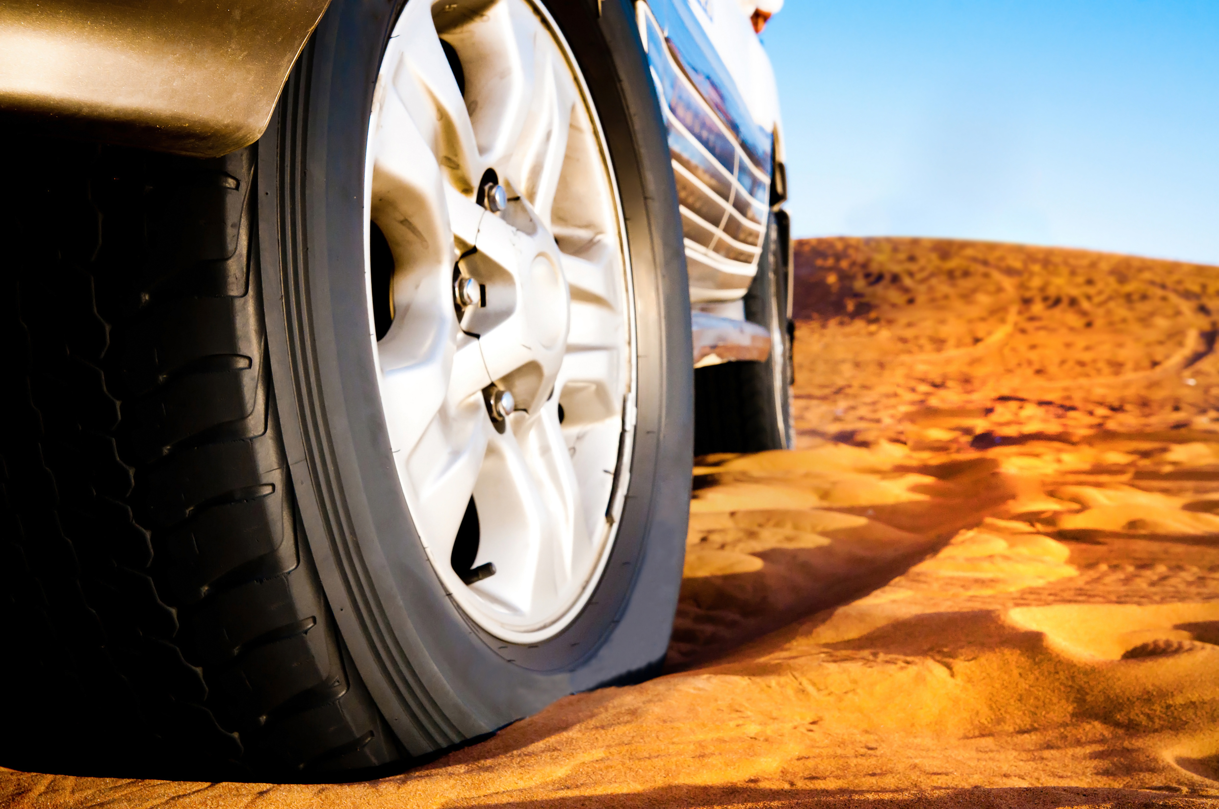 The Complete Guide to Choosing the Best Tires for Your Vehicle 